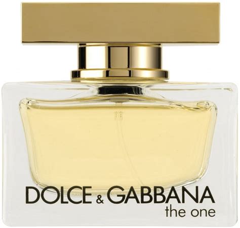 dolce gabbana the one eau de toilette 100ml|dolce gabbana cologne the one.